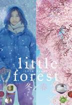 little-forest-winter-spring